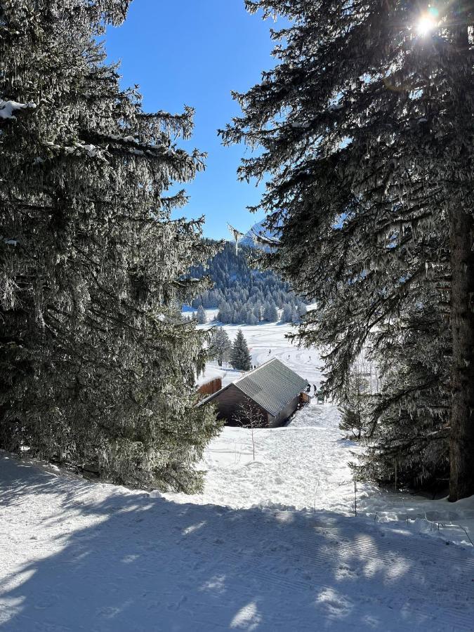 Chamrousse Appart 8 Personnes Au Pied Des Pistes Exteriér fotografie