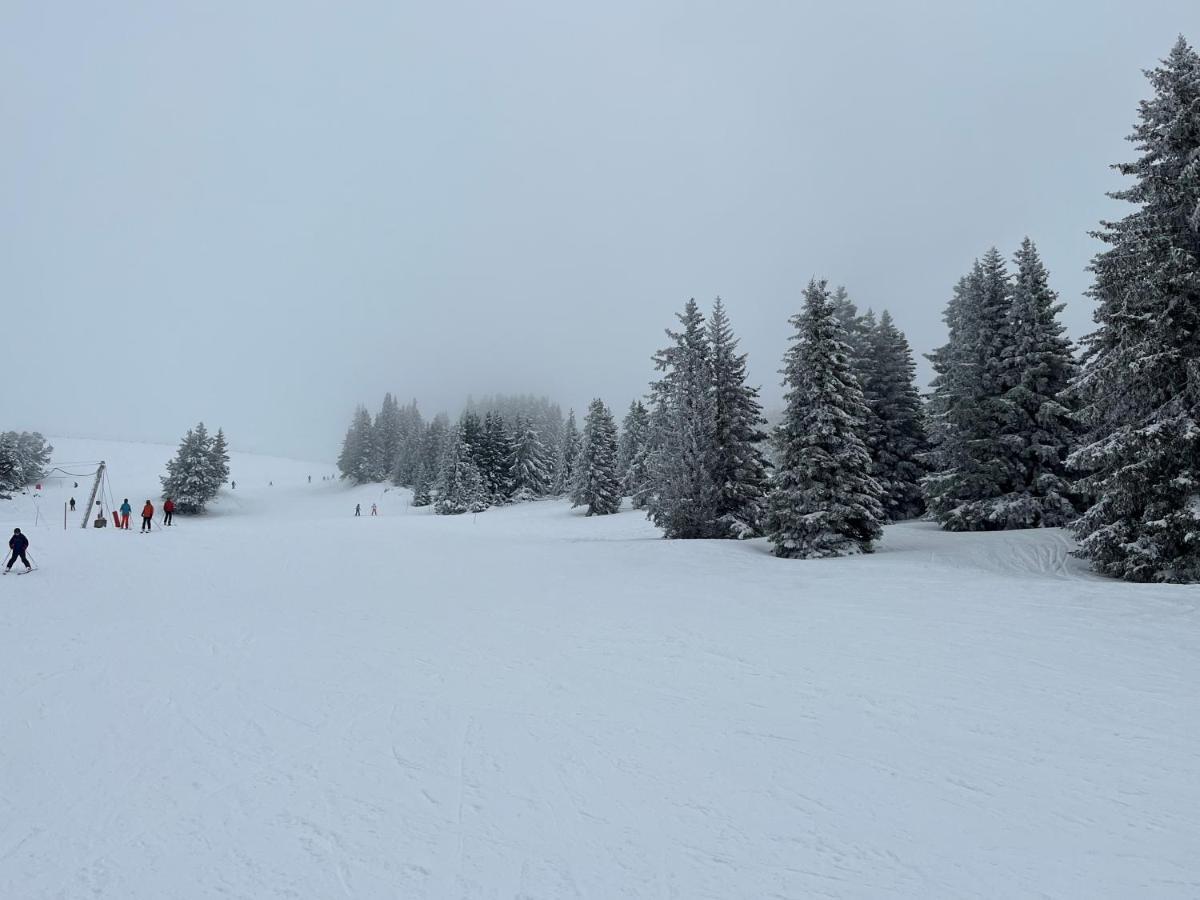 Chamrousse Appart 8 Personnes Au Pied Des Pistes Exteriér fotografie